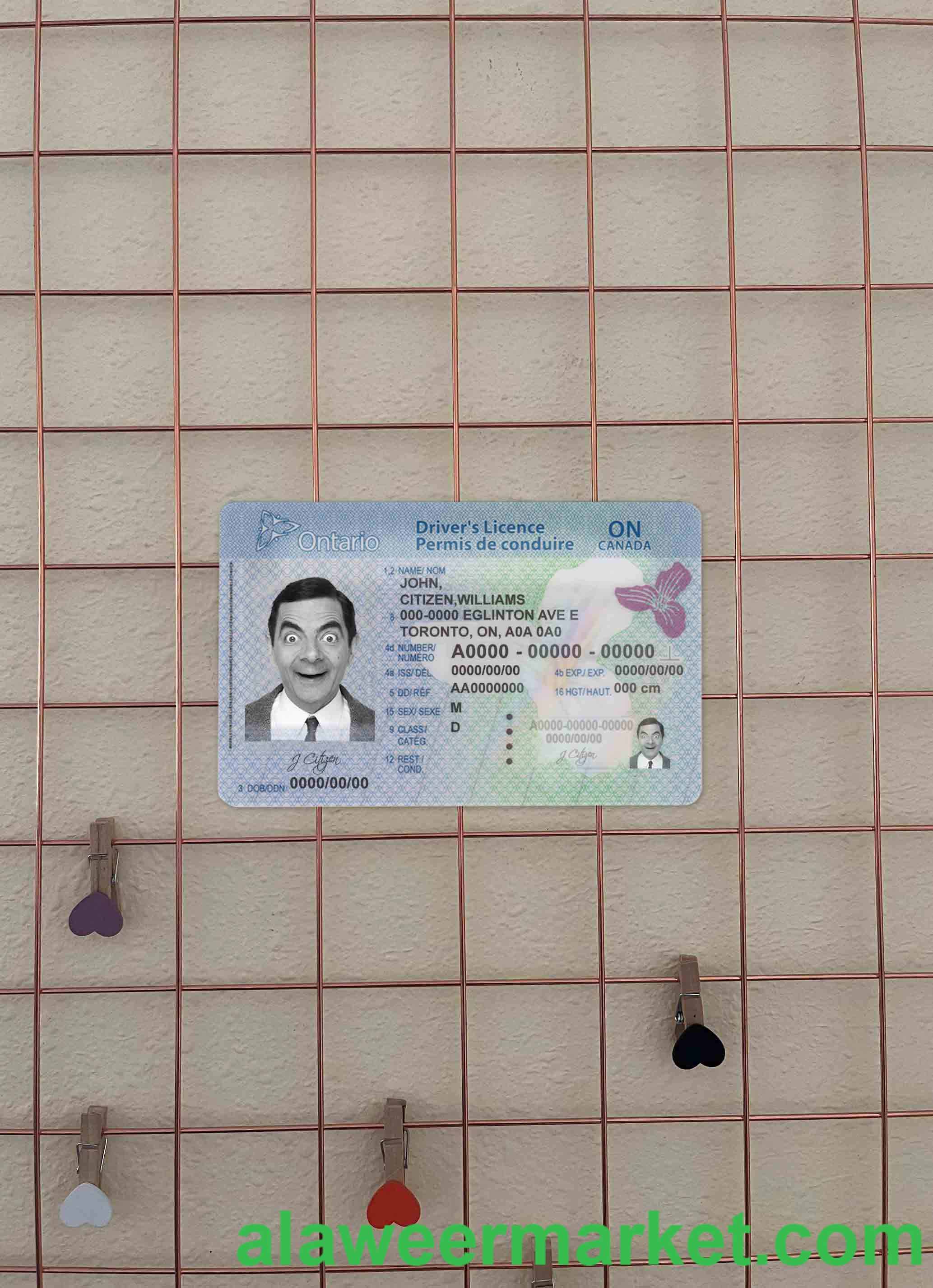 Canada Ontario DL (2018 - present) photolook FRONT